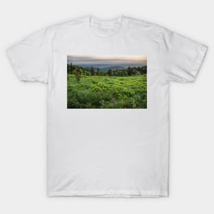 Mountain meadow T-Shirt